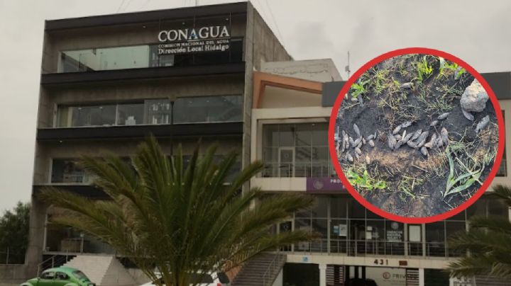 Conagua sacrifica a pescadores y presa Requena para mantener cultivos de Tula