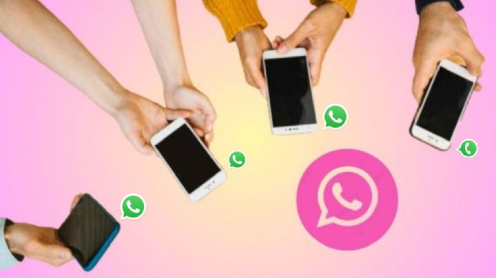 ¿WhatsApp ROSA? Estos son los PELIGROS de activarlo