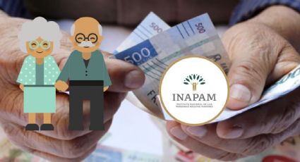 INAPAM: Estas son las tiendas con descuentos del 50% para adultos mayores con credencial