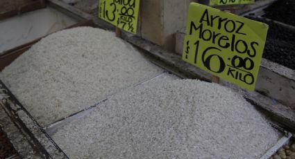 ¿Qué es el arroz pulido japonés que importará México?