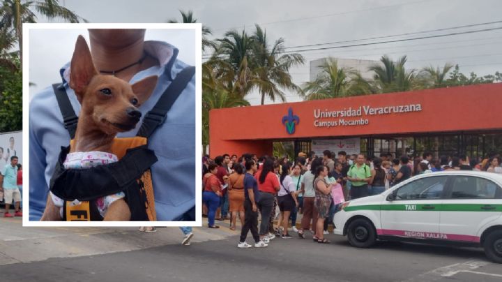 Yokita viajó desde Acayucan para acompañar a su dueña al examen de la UV