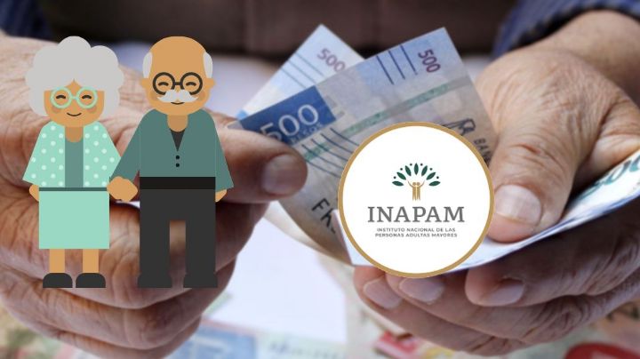 INAPAM: Estas son las tiendas con descuentos del 50% para adultos mayores con credencial
