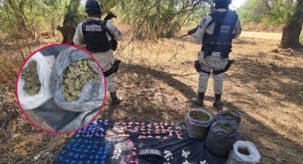 Guardia Nacional decomisa costales de drogas en Comanja