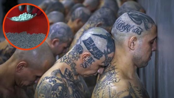 ¿Por qué la Mara Salvatrucha prefirió al "Mayo" Zambada sobre "Los Chapitos"?