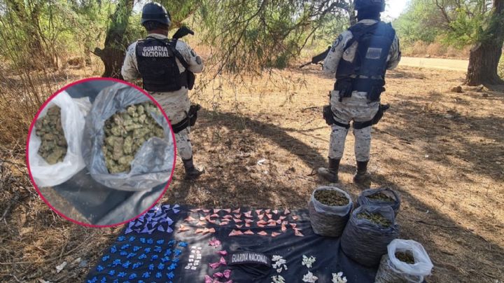Guardia Nacional decomisa costales de drogas en Comanja