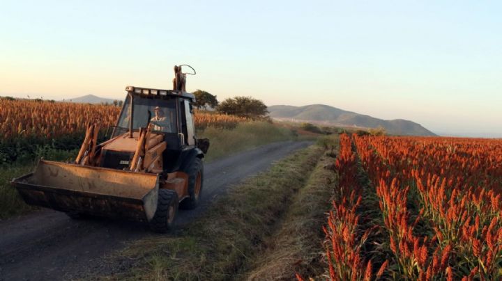 Destruir capacidades de producción de alimentos