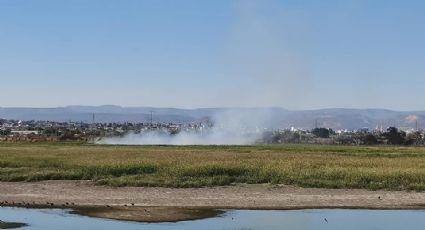 VIDEO| Miles de aves huyen por incendio en Presa Blanca, al sur de León