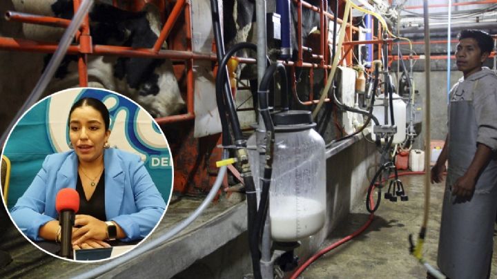 Compran a productores leche a 5 pesos el litro y luego la venden hasta en 35