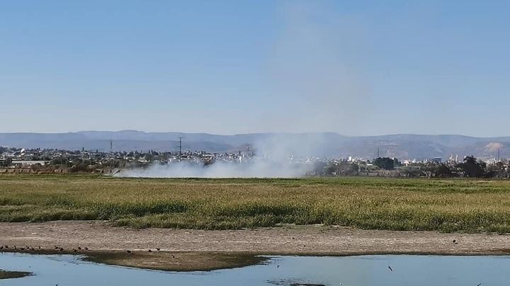 VIDEO| Miles de aves huyen por incendio en Presa Blanca, al sur de León