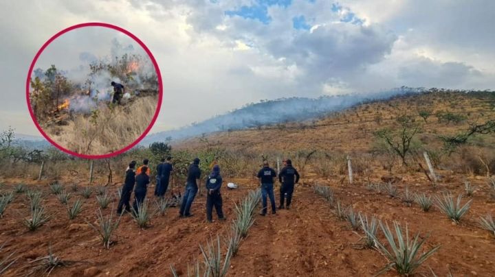 Agaveros incendian cerro del Fuerte de los Remedios