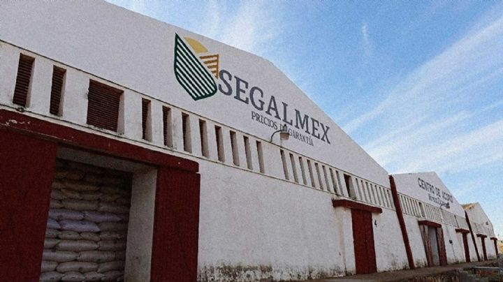 Al estilo Segalmex, la 4T asigna 2 mil mdp a empresas “fachada”: MCCI