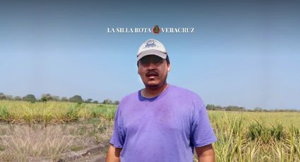 Por sequía, productores de Soledad disminuyen siembra de maíz nativo