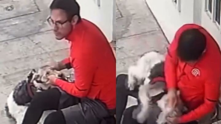 A plena luz del día, lomito es golpeado por su dueño en calles de CDMX