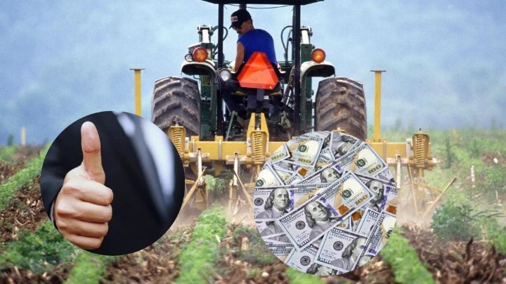 Lo demandan por usar un emoji; tuvo que pagar 62,000 dólares