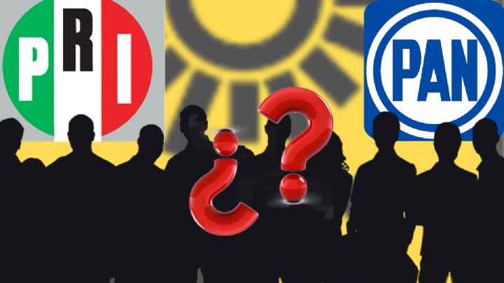Los 13 aspirantes a la candidatura de oposición que SÍ cumplieron todos los requisitos