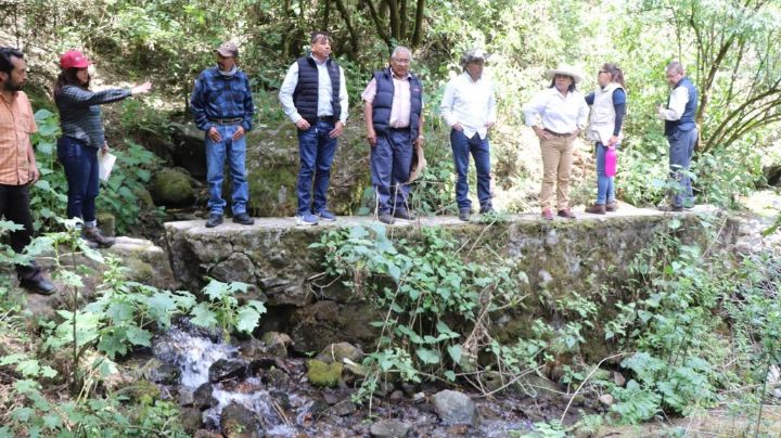 Reforestan y recuperan humedales en CDMX para adaptarse a cambio climático