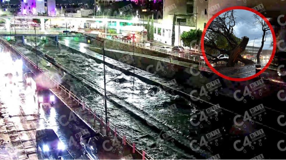 Una fuerte tromba cayó esta lunes por la tarde en el que  se cerró el Malecón y cayeron árboles