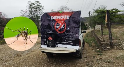 Hidalgo ya registra casos de dengue, estos son los síntomas
