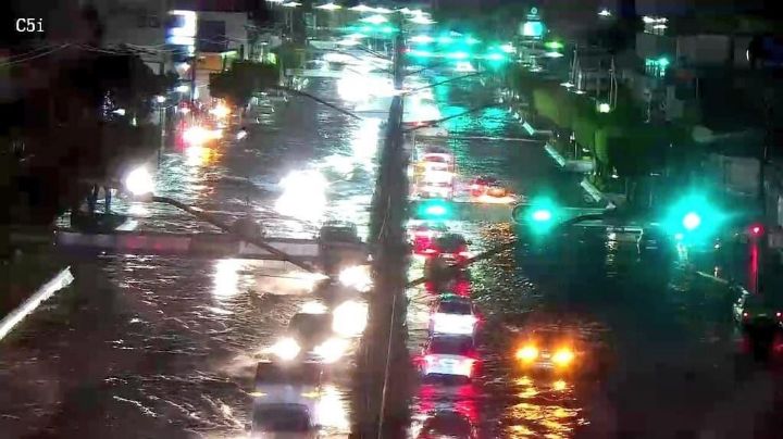 La fuerte tromba en León dejó severos estragos: árboles y espectaculares caídos