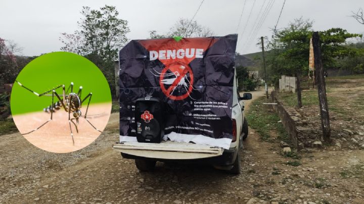 Hidalgo ya registra casos de dengue, estos son los síntomas