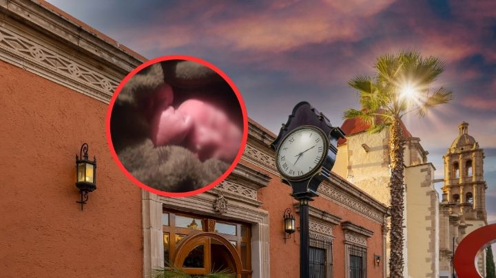 Abandonan a bebé recién nacido en terreno baldío