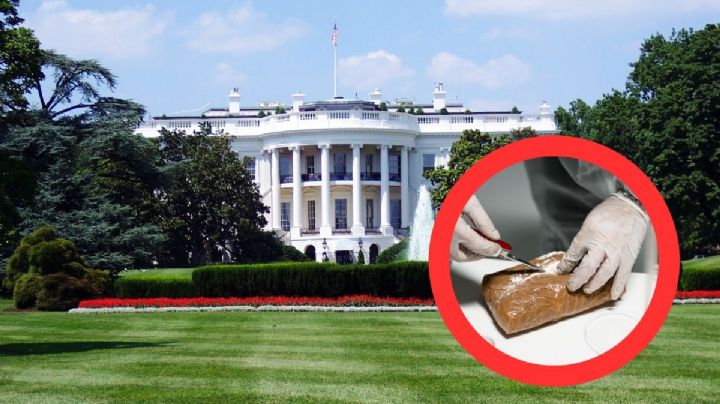 Pese a hallazgo de cocaína en Casa Blanca, Servicio Secreto cierra investigación sin responsables