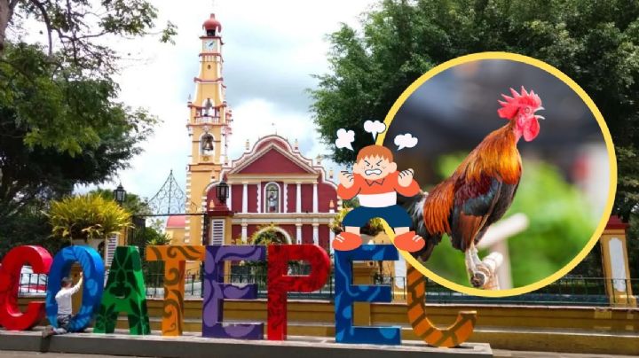 Extranjero en Coatepec, Veracruz, se queja del gallo de su vecina y lo tunden en redes