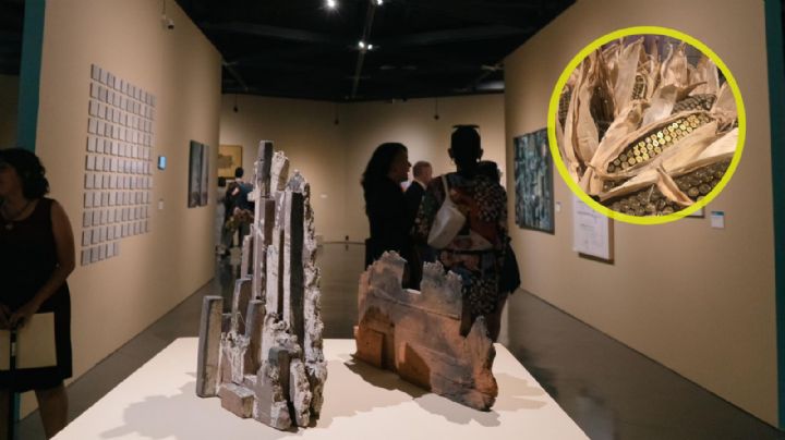 Arte Contemporáneo llega al Teatro Manuel Doblado con Aterrizando Barco 02