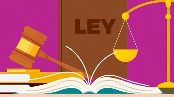 Las atribuciones de la Comisión de Quejas del INE