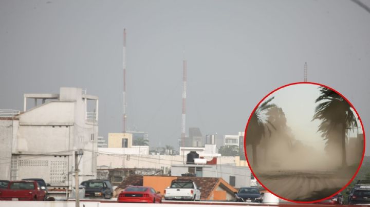 Polvo del Sahara llega a Tamaulipas: ¿Cuánto tiempo durará y cómo afecta a la salud?