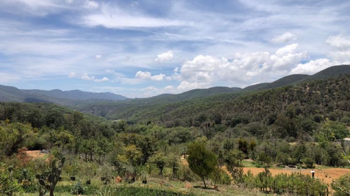 Así estará el clima este domingo 16 de julio en Guanajuato