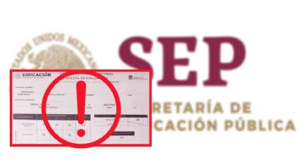 Boleta de calificaciones: los avisos de la SEP