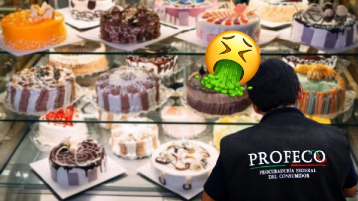 Compra un pastel en este negocio de Mineral de la Reforma, le sale con moho