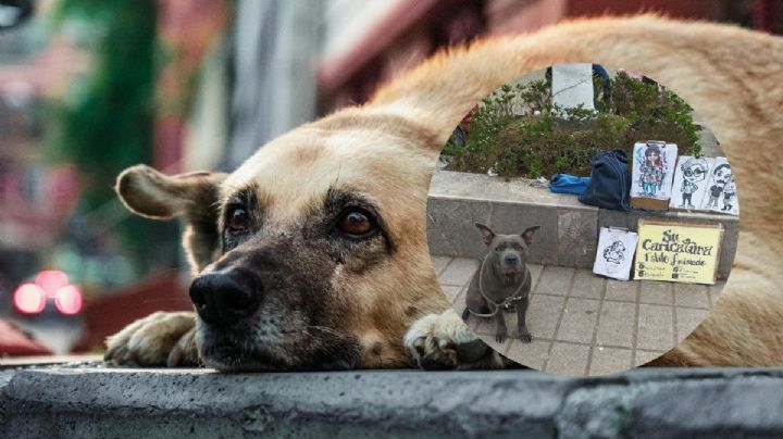 Artista vende retratos para ayudar a perros de la calle, en Zongolica