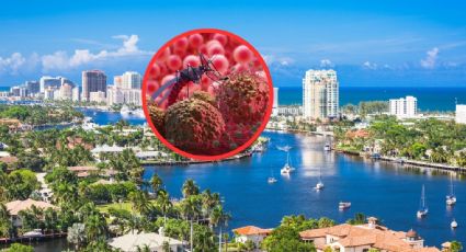 ¿Viajas a Miami, Florida? Aguas con la malaria