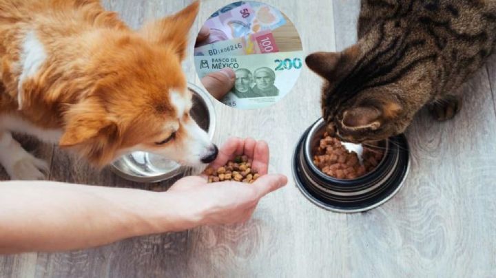 ¿Cómo afecta la inflación a tu perro?