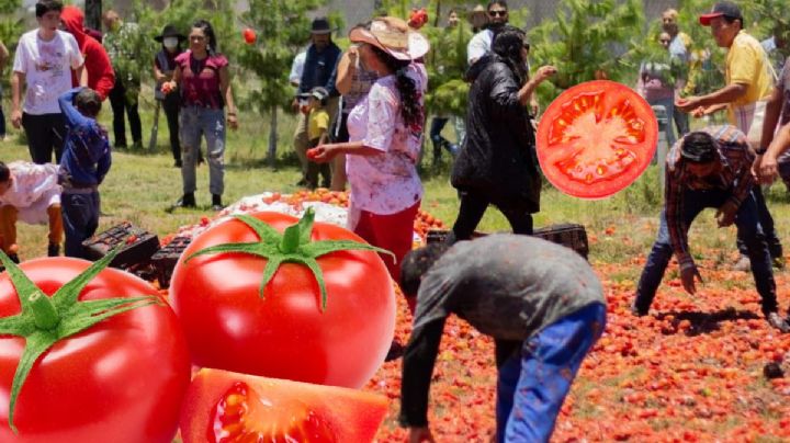 Se viene la Jitomatiza en Hidalgo: ¿cuándo, dónde y qué actividades habrá?