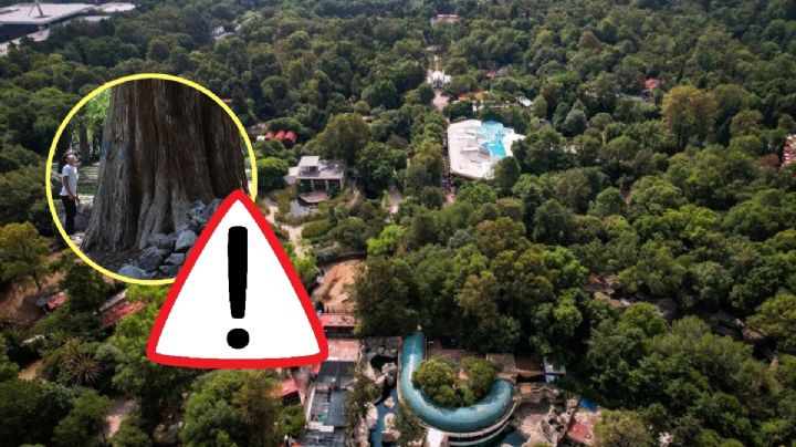 Este es el gran SECRETO que guarda el Bosque de Chapultepec