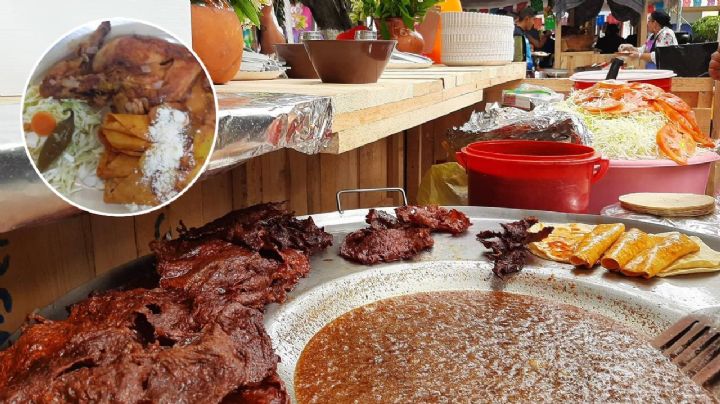 Come local: Las mejores enchiladas de Guanajuato, Purísima y Salamanca