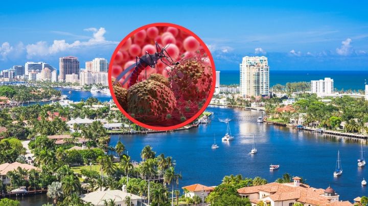 ¿Viajas a Miami, Florida? Aguas con la malaria