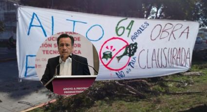 Cuitláhuac García defiende tala de árboles en Xalapa y dice que puente vial es necesario