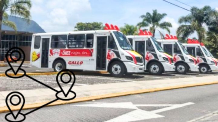 Autobuses Gallo comenzarán a operar en Orizaba. Mira cuándo, rutas y costos