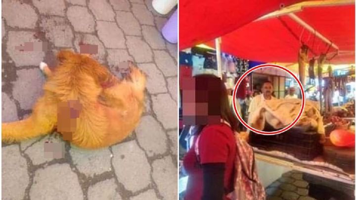 Carnicero acuchilla a perro en tianguis de San Cristóbal Huichochitlán, en Toluca