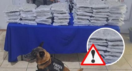 Hallan más de 30 kilos de marihuana en paquetería de Minatitlán