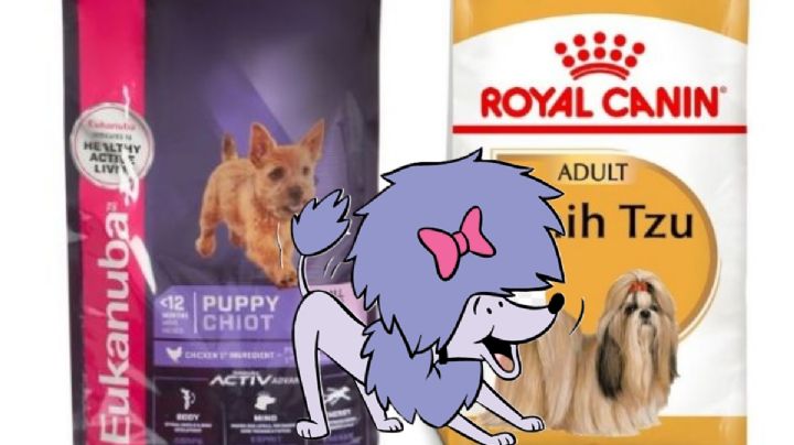 ¿Te toca comprar las coquetas de tu perro? Esta tienda departamental las tiene en descuento