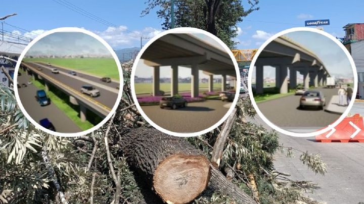 Así quedará el puente vehicular por el que talaron árboles en Xalapa