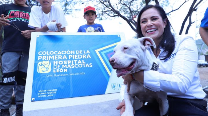 León tendrá el primer hospital de mascotas en todo México