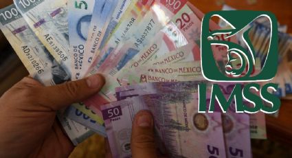 Guanajuato: ¿Sabes cuánto recibirás de pensión del IMSS?, así lo podrás calcular