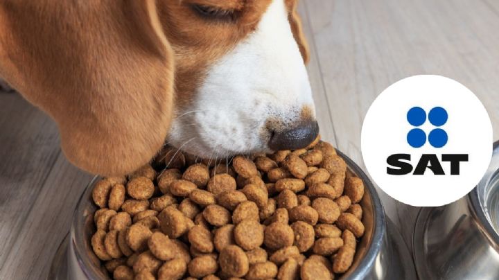 SAT: 3 formas de hacer deducibles las croquetas de tu perrito