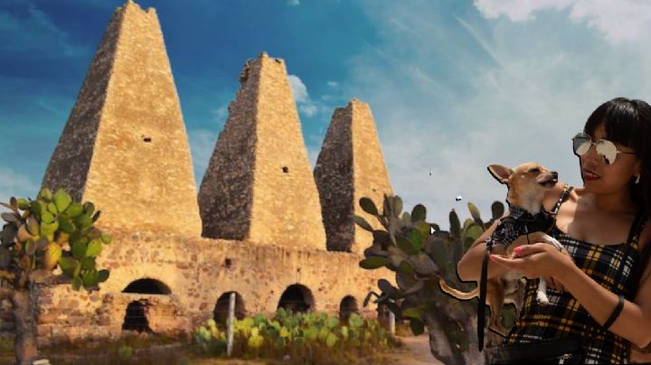 ¿Vacaciones?, lleva a tu lomito en este Pueblo Mágico pet friendly de Guanajuato